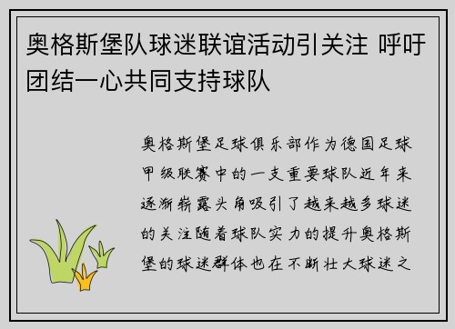 奥格斯堡队球迷联谊活动引关注 呼吁团结一心共同支持球队